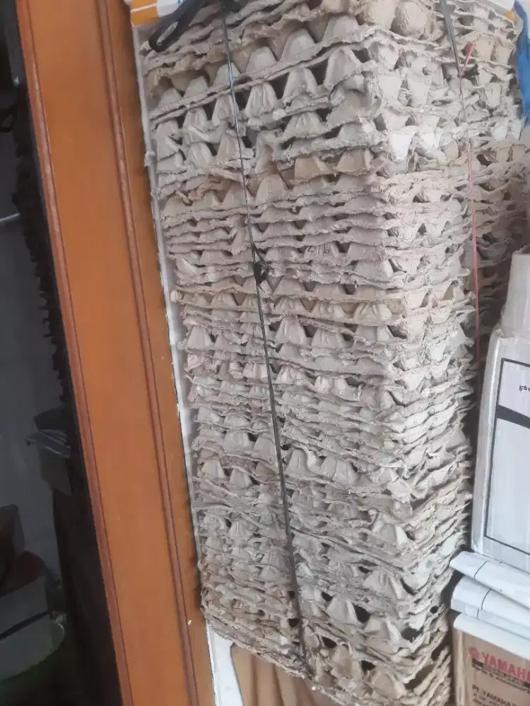 Tempat telur ayam dari kardus 60 biji bekas