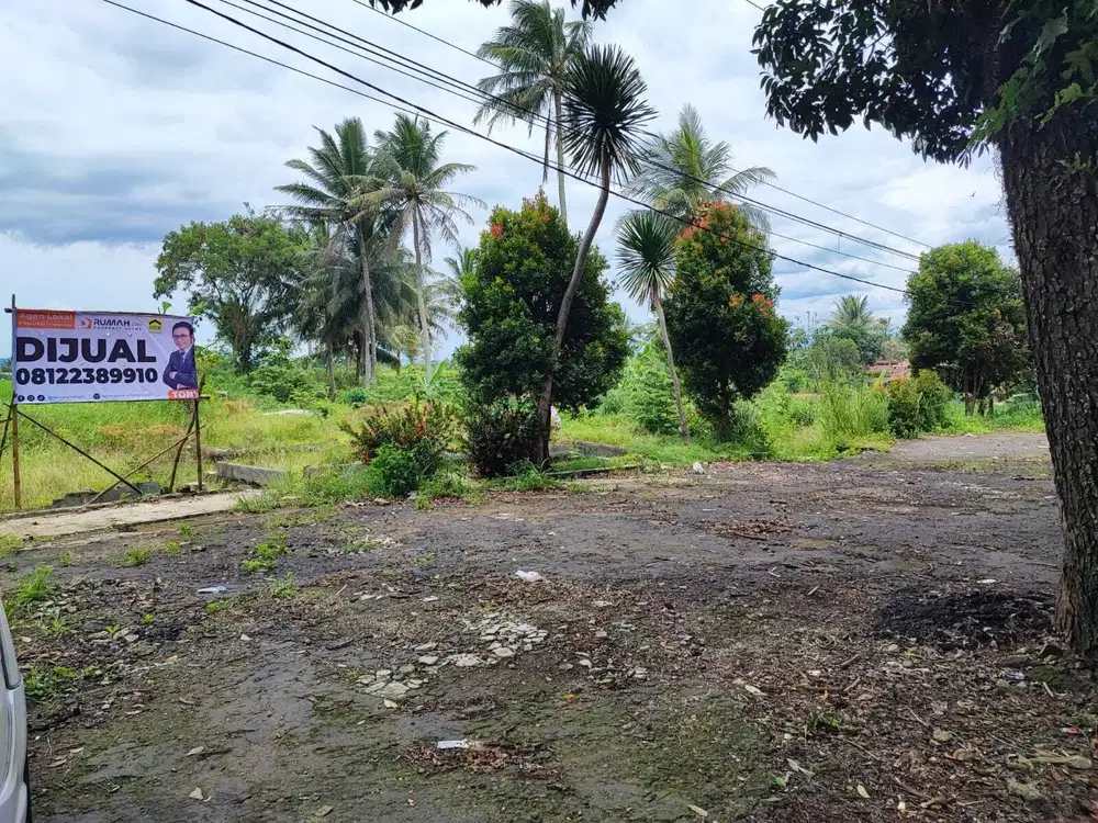 Tanah Luas 2000m2 Cocok Untuk Bisnis di Jalan Provinsi
