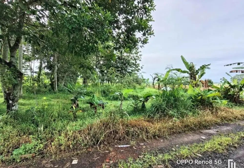 Tanah kosong dekat kampus UMP, hotel Amoris Sokaraja Banyumas