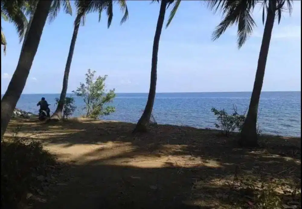 BEACHFRONT LAND FOR SALE AT BULELENG