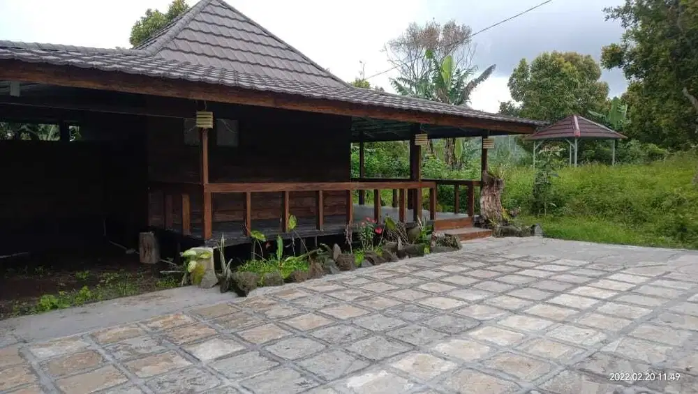 DIJUAL/DISEWAKAN COTTAGE VIEW BUKIT BULELENG