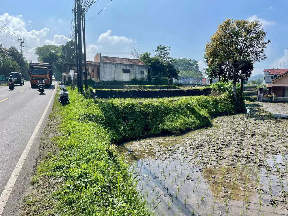 Tanah Sawah Pinggir JalanRaya Nasional di Sumdang Dijual Murah