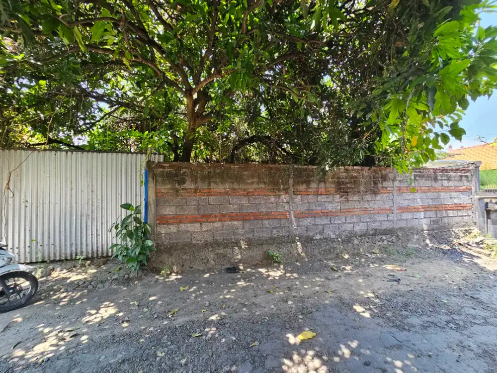 Tanah cocok pakai kos kosan sambangan dekat sekolah singaraja