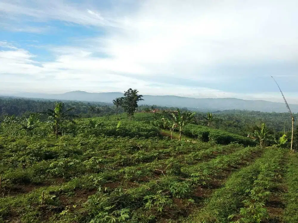 DiJual Tanah Cocok Untuk Tempat Wusata,  Green House Cibadak Sukabumi