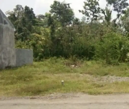 Dijual Kavling Kemang Raya Samarinda Cocok Untuk Rumah Dan Kos Kosan