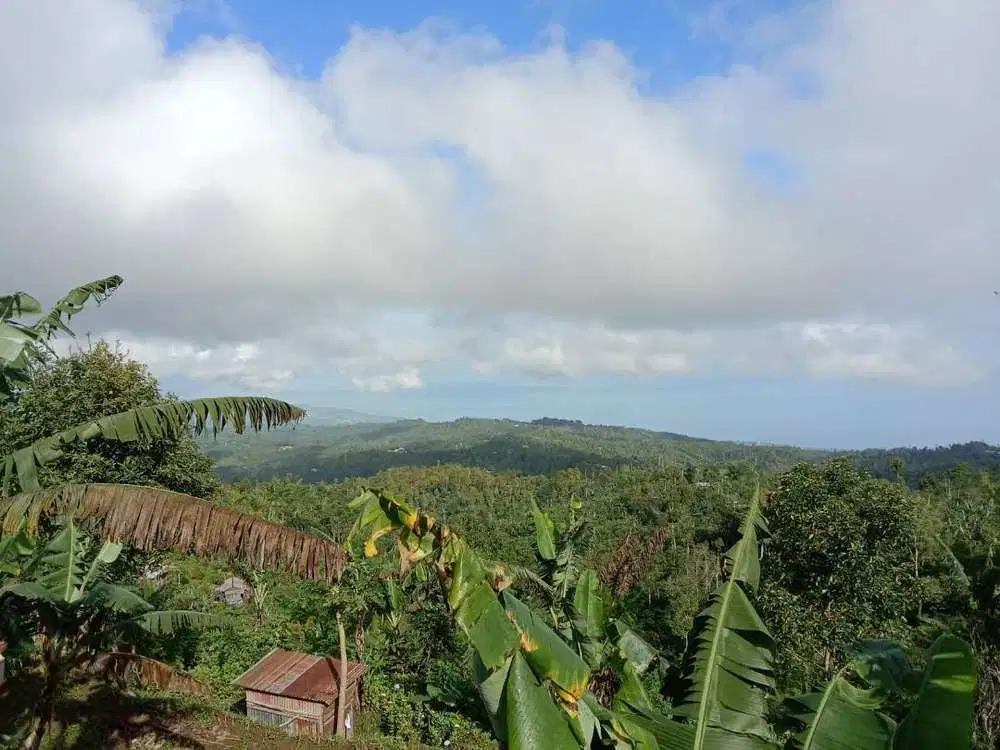 BUC TANAH MURAH VIEW LAUT UTARA BALI