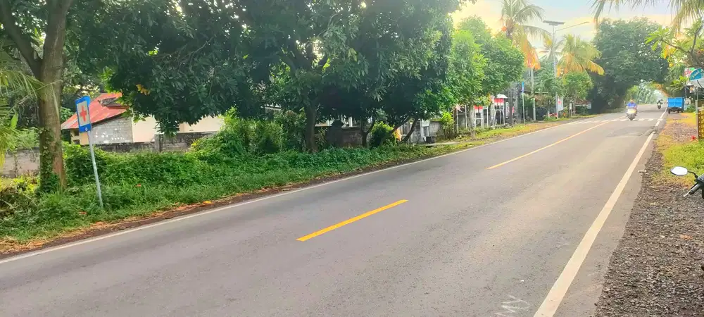 Tanah 1 Hektar Jl Seririt Singaraja Gerokgak Buleleng Bali