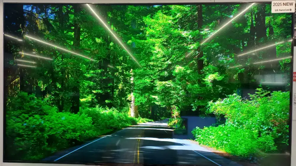 TCL QLED MINI LED GOOGLE TV 55 BISA CICILAN 0%