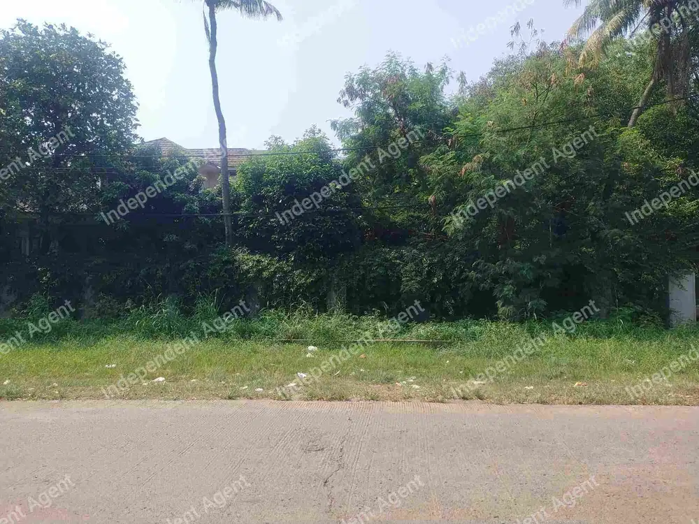 tanah di pondok kelapa Billy moon