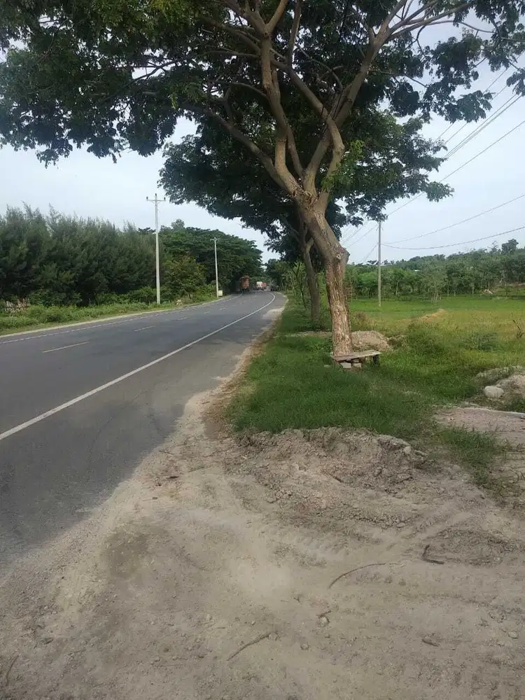 TANAH INDUSTRI ISTIMEWA