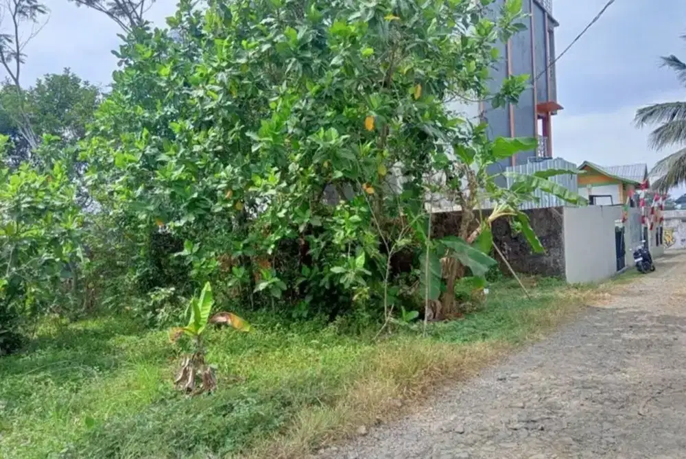 Tanah kosong buat hunian & Kos dekat kampus UNWIKU Purwokerto