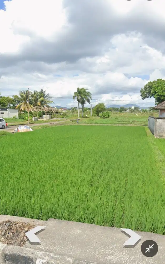 Tanah 3,6 Hektar Dkt RSUP Mataram Lombok Nusa Tenggara Barat