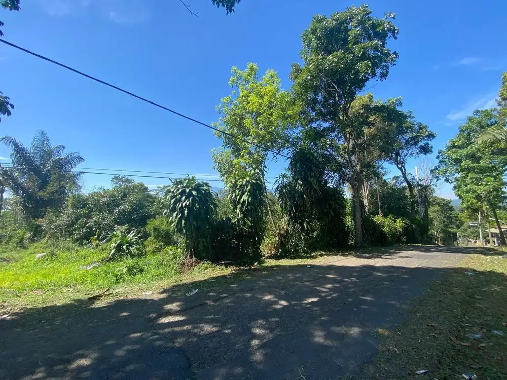 Tanah Kebun Manggis 4000 m2 di Wanayasa Purwakarta Dijual Murah