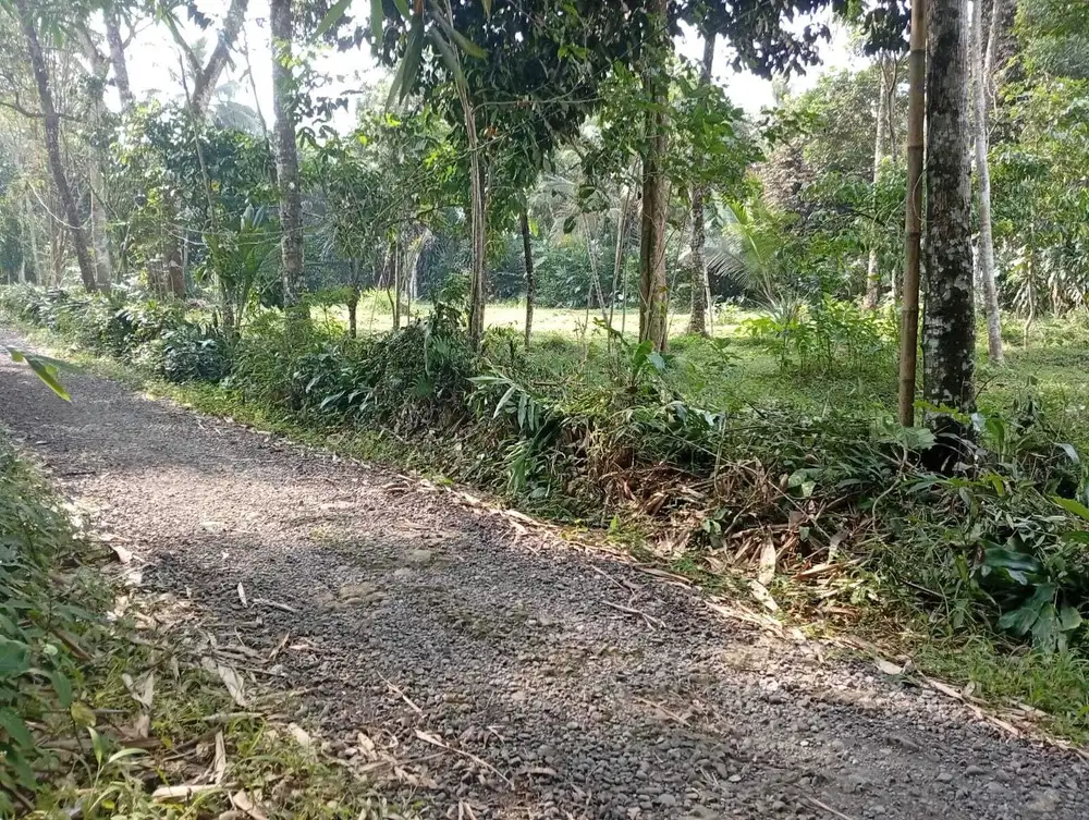 Tanah kosong Kutasari Purbalingga dekat Pondok, Sekolah, pasar