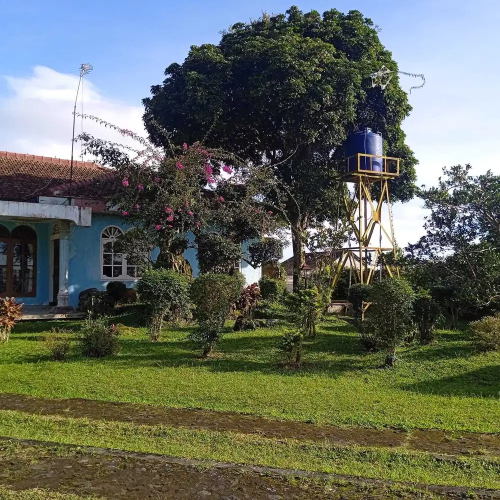 DIJUAL RUMAH VILLA KAWASAN KAMPUNG CIPENDAWA CIANJUR