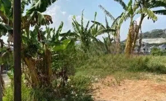 Dijual Cepat Tanah Murah Jangli Semarang Selatan