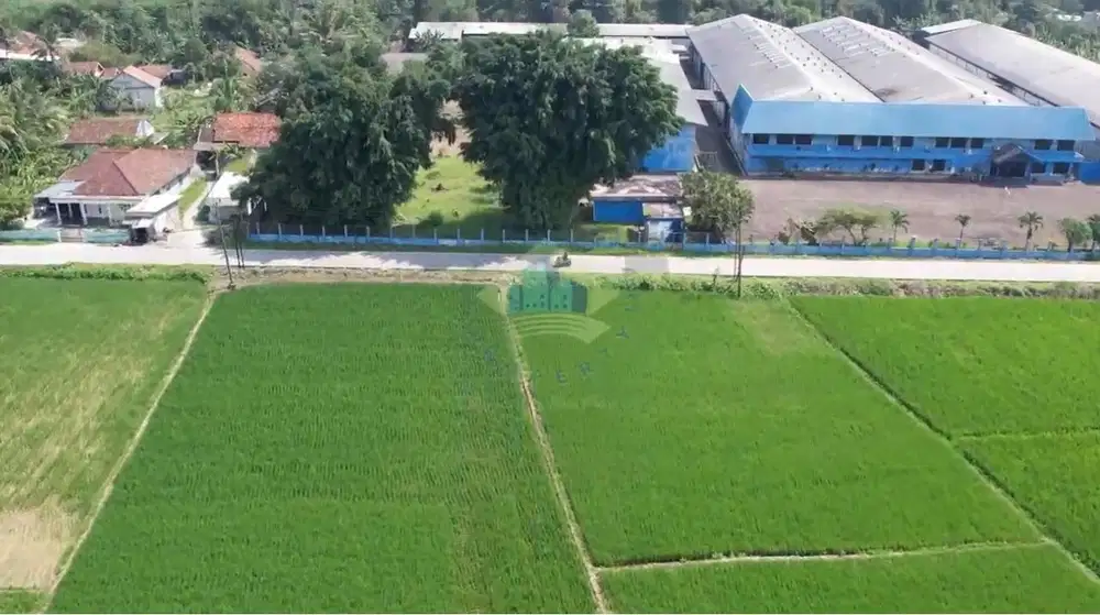 Jual Tanah di Desa Gabus, Kopo, Serang - Banten.