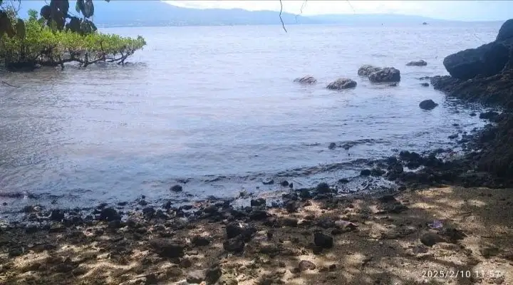 Dijual tanah bagus dipinggir pantai Molas