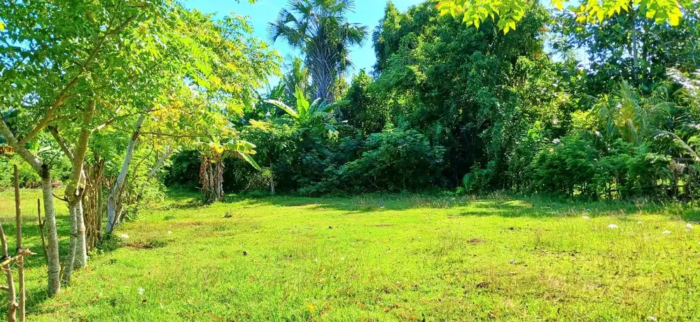 Dijual Tanah 14,6 are di Pengambengan Negara Jembrana Bali