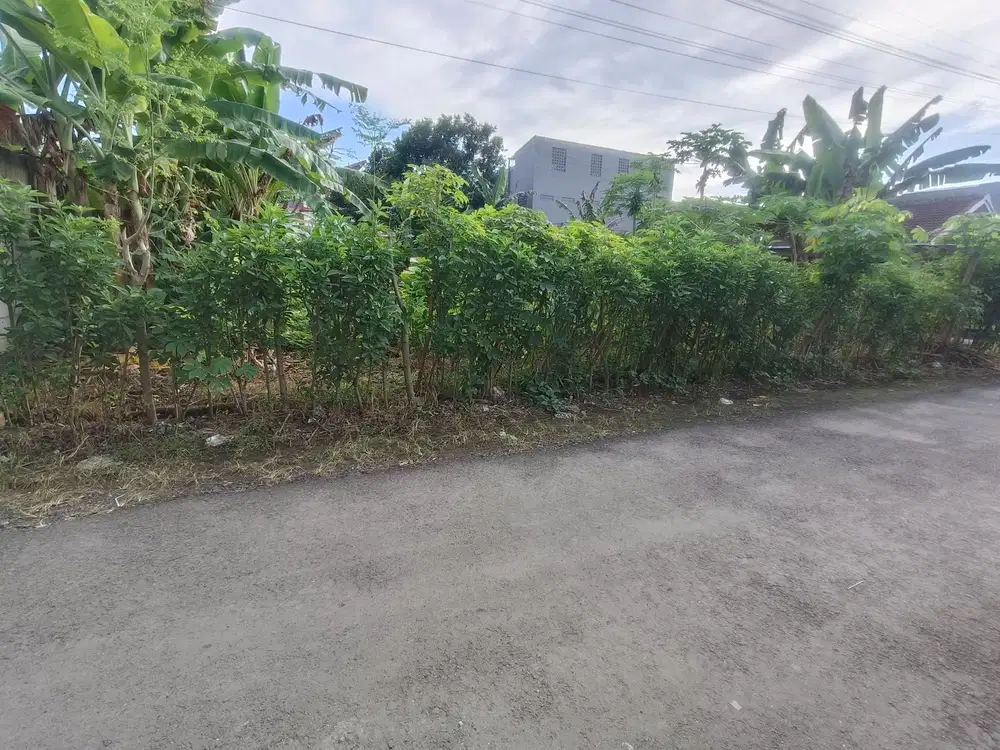 Tanah kosong untuk KOS kompleks kampus UMP Kembaran Purwokerto