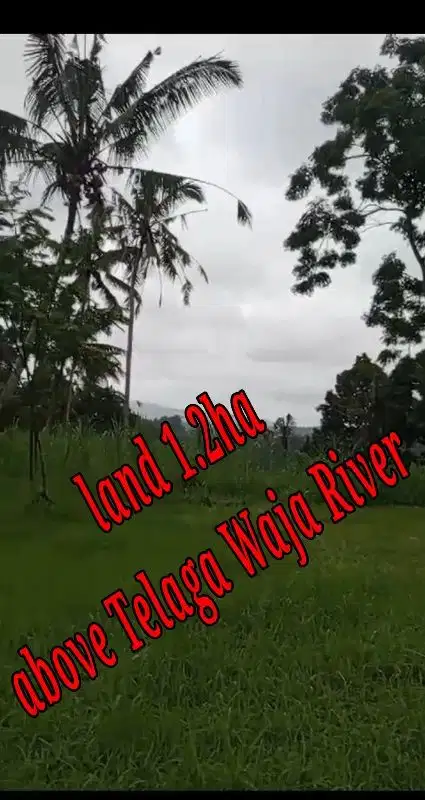 Land 1,2ha for Sale above Telaga Waja River Karangasem Bali