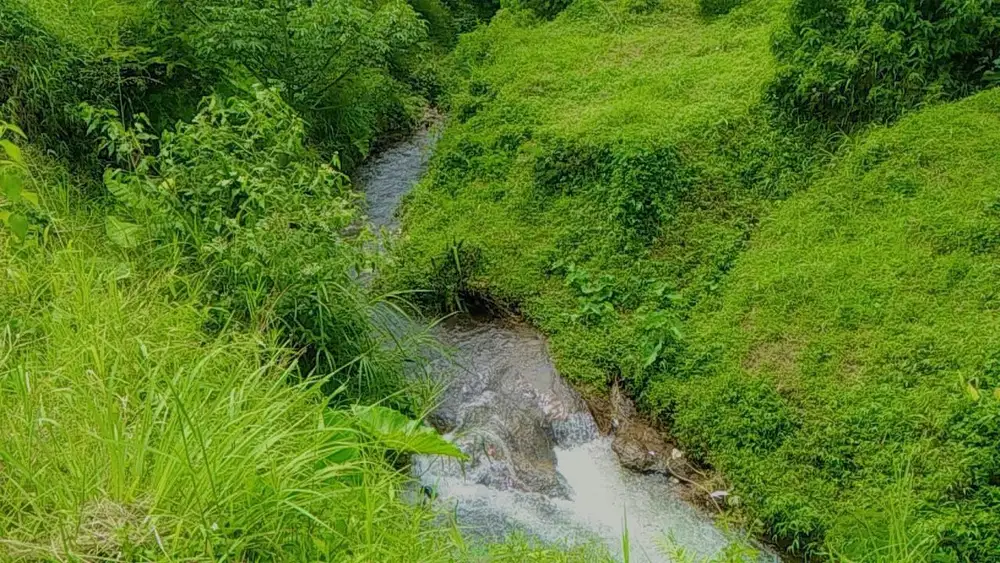 Jual tanah sangat murah di cisarua puncak bogor