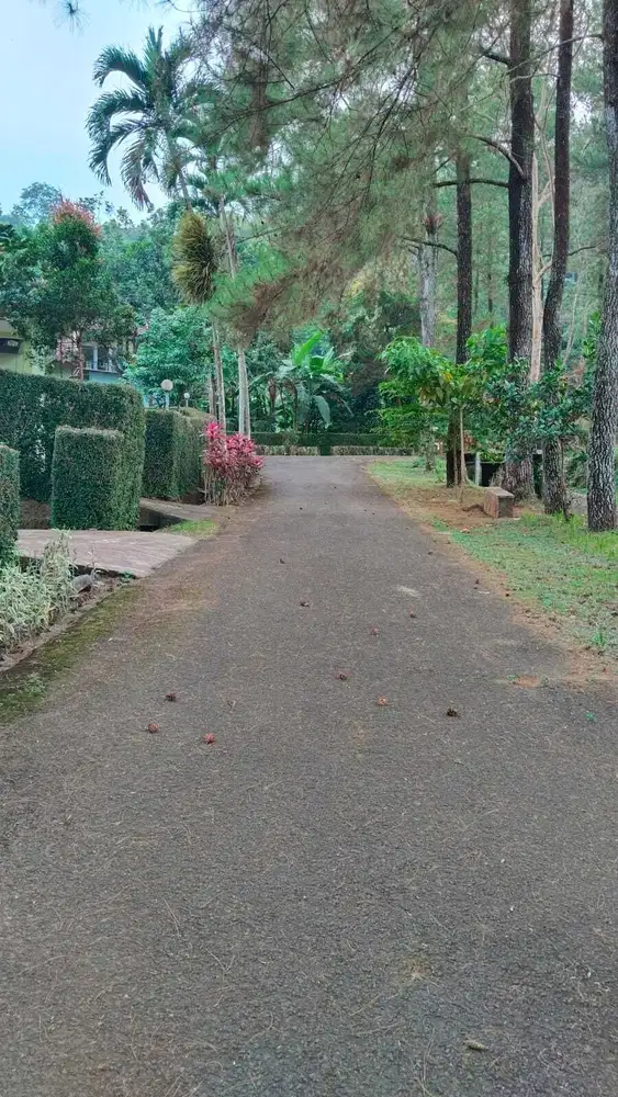 Villa Trawas Grand Wish 349m2 serius lepas. tretes