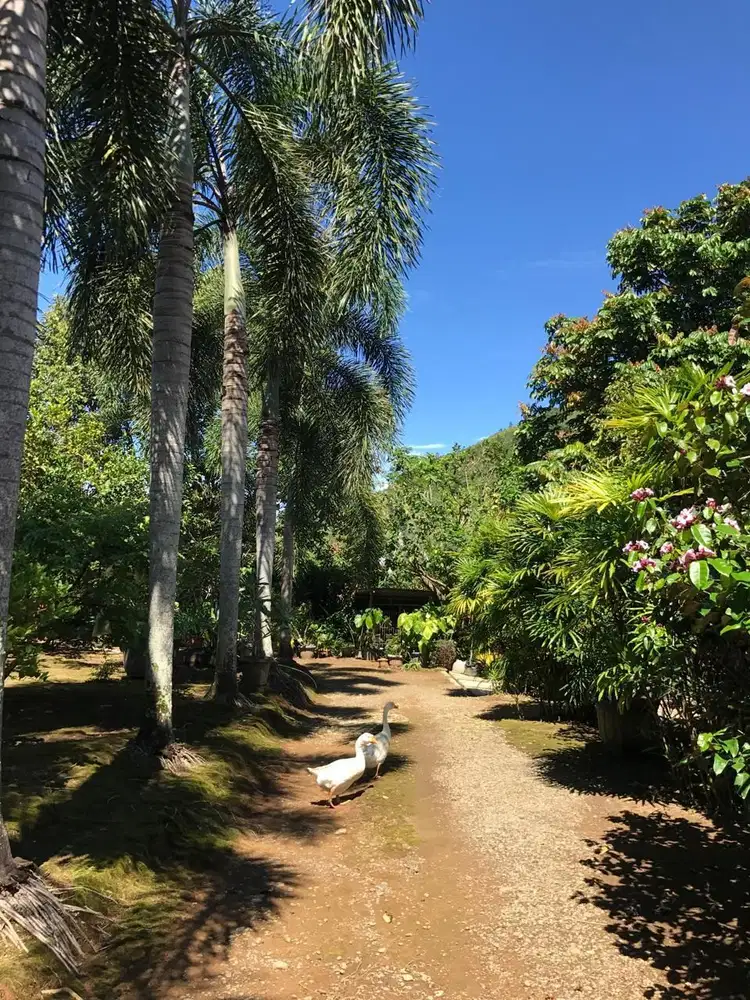 Dijual Kavling Padang Sumatera Barat