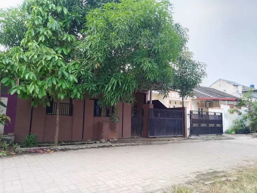 Jual rumah lunas luas 84 m2 surat SHM harga 199 juta