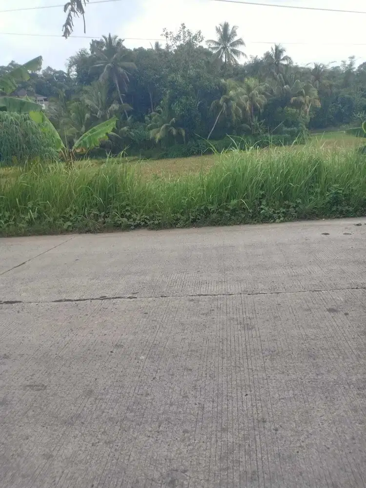 Jual Tanah industri Rangkasbitung Raya.