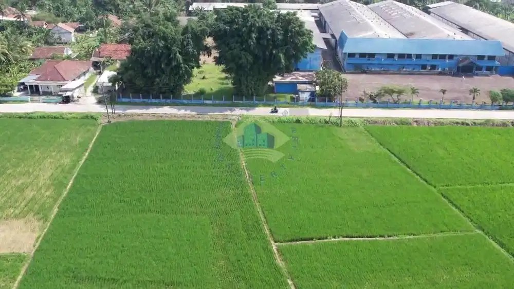 Jual Tanah di Desa Gabus, Kopo, Serang - Banten.