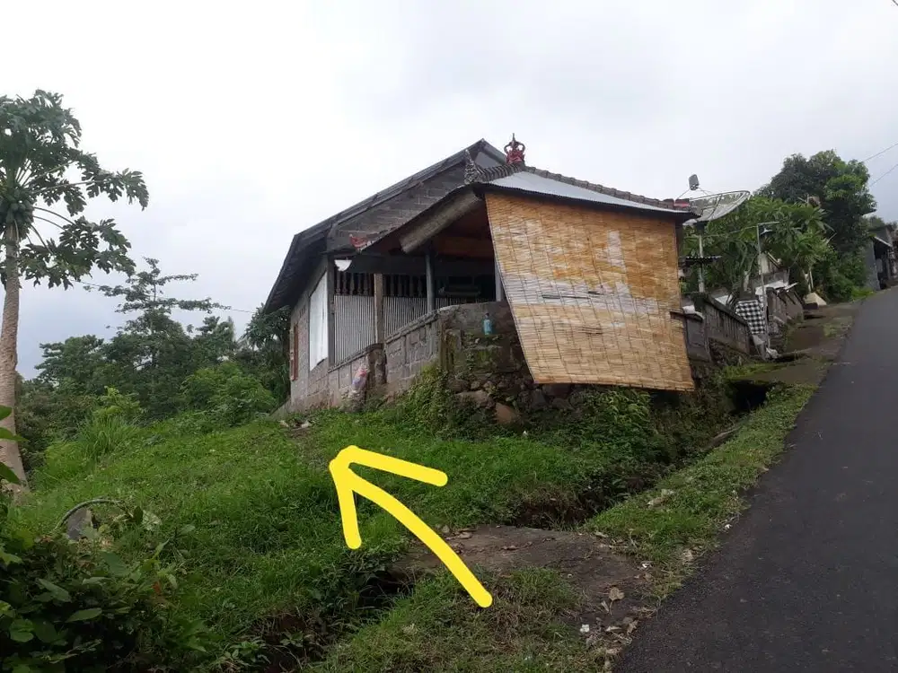 Tanah Dekat Pantai Lovina Buleleng