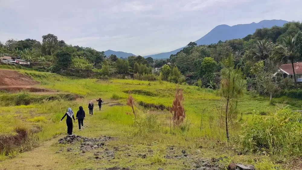 Tanah sejuk shm murah siap bangun cisarua puncak bogor
