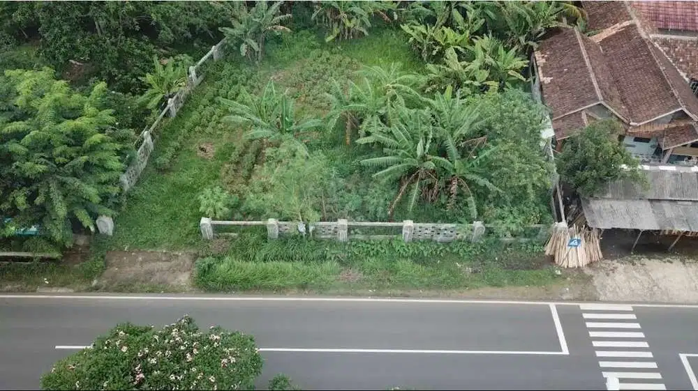 Jual Tanah Di Jalan Raya Petir, Warunggunung - Rangkasbitung, Lebak