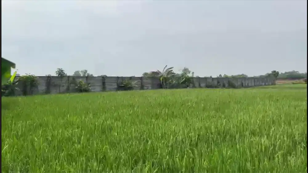 Jual Tanah di Pengampelan, Kota Serang, Banten