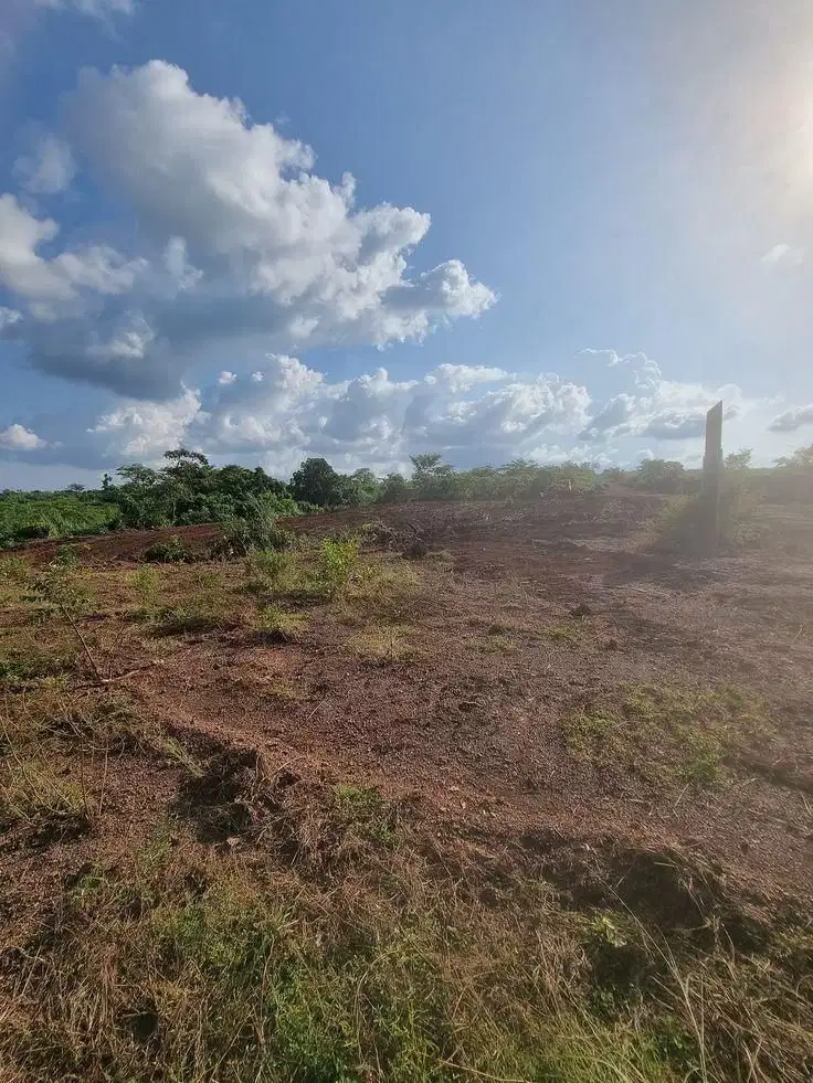 Dijual tanah cocok untuk industri