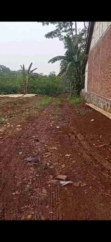 Tanah ploting kuning di batang cocok buat perumahan