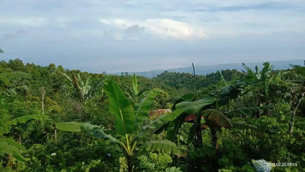 BUC TANAH DIJUAL FULL VIEW LAUT BALI UTARA