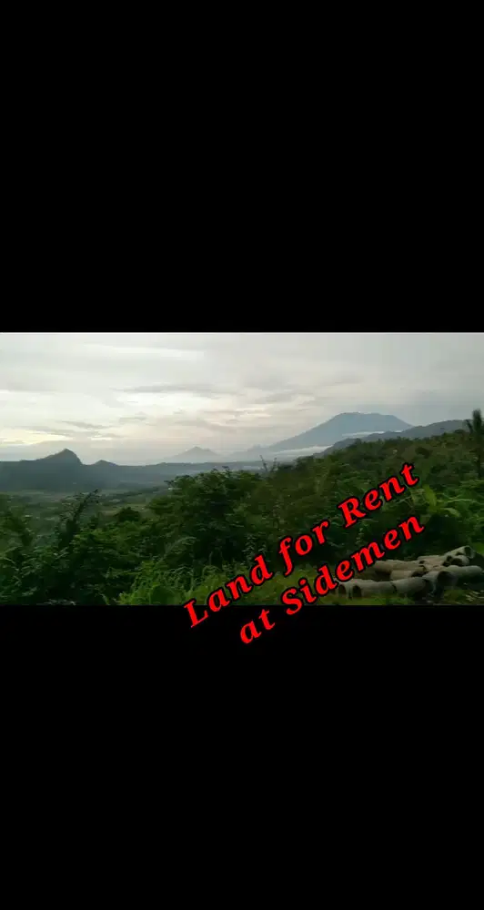 Land 1,2ha for Rent at Sidemen Traditional Village Bal