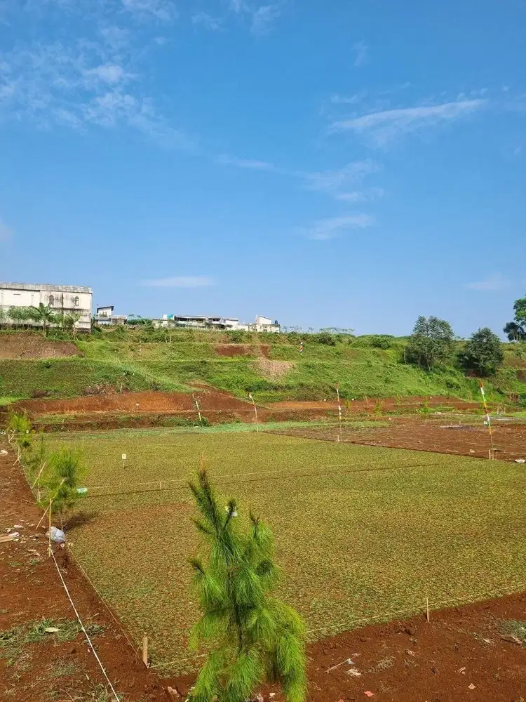 Tanah murah shm 302m megamendung puncak bogor