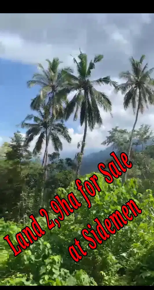 Land 2,9ha for sale Sidemen Traditional Village Bali