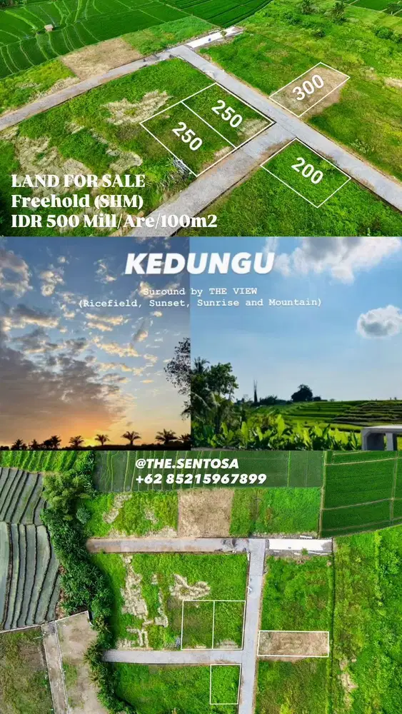 KEDUNGU dekat CANGGU PERERENAN