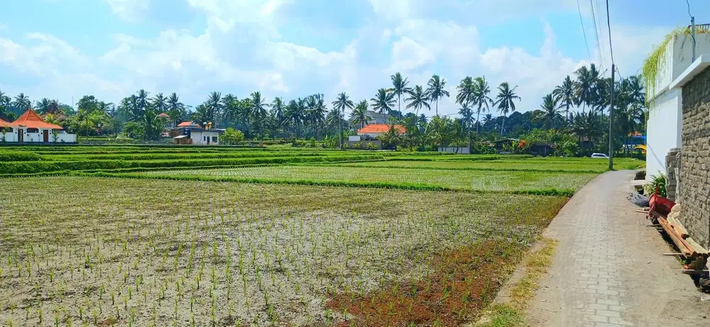 Disewakan Rumah di Tegalalang Ubud Gianyar Bali