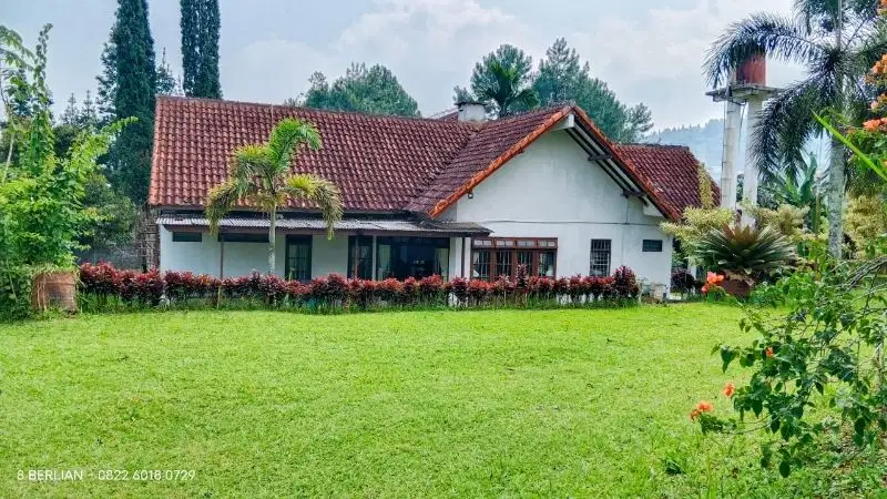 VILLA DAN KEBUN KELAPA DI CISARUA BOGOR