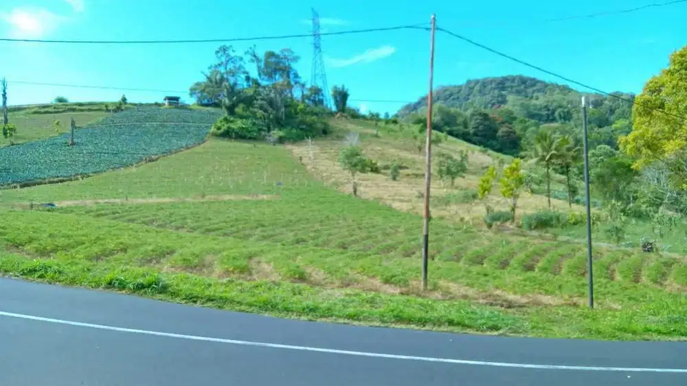 Dijual tanah bagus dekat Rurukan dataran tinggi view bagus alami