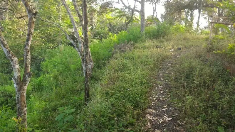 Jual Tanah di Kebandungan, Sukabumi