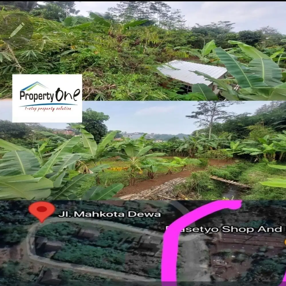 Dijual.tanah kebun alpukat di rancakendal.bandung harga 4 jt permtr