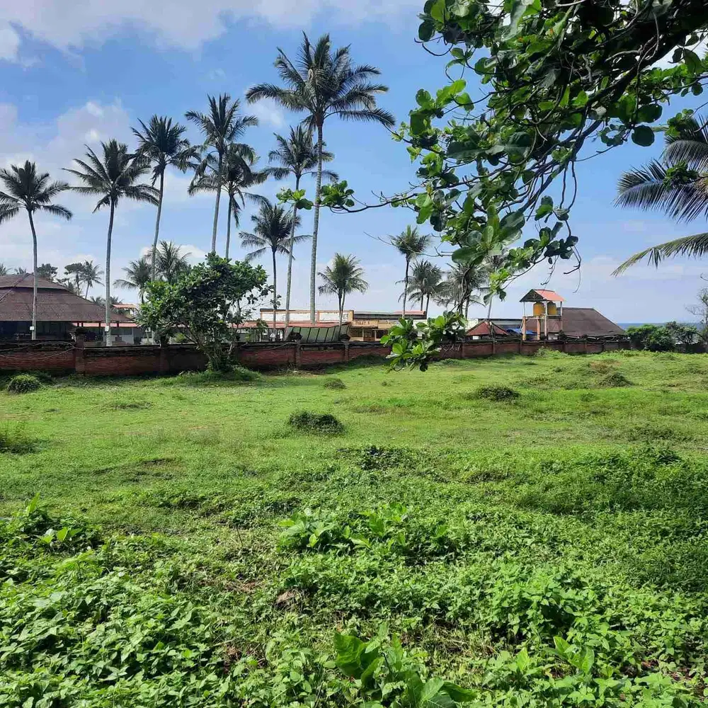 dijual tanah los pantai pakutatan negara