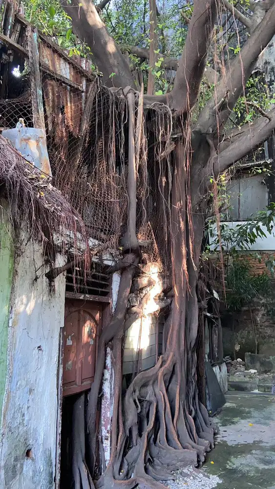 DI JUAL LAHAN KAWASAN ROA MALAKA SELATAN TAMBORA