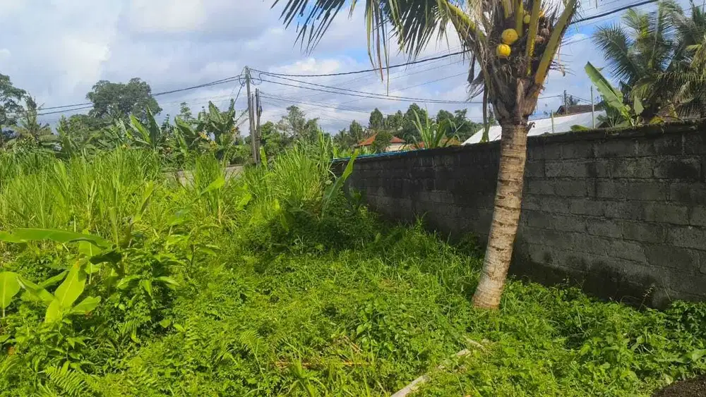 Di Jual Tanah Andong Petulu Menuju Tirta Tawar Ubud